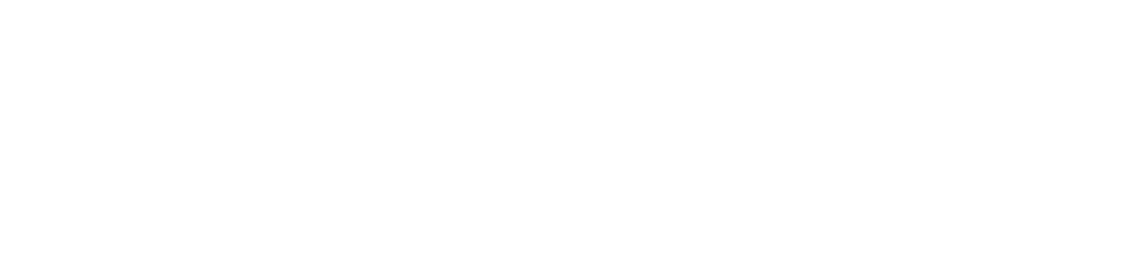 Spyfall logo